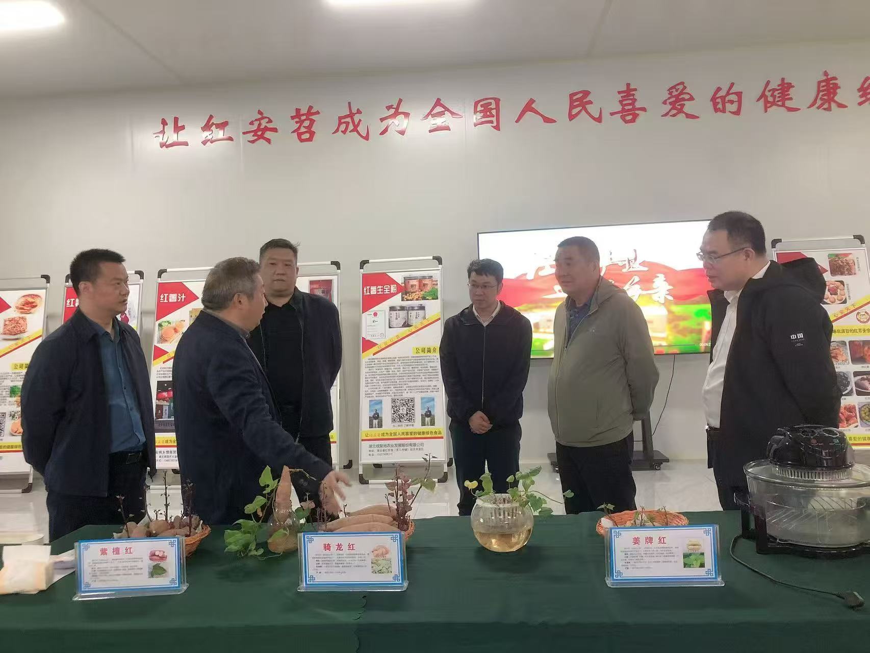 湖北省科学技术协会 驱动新材料技术推广，服务产业创新发展